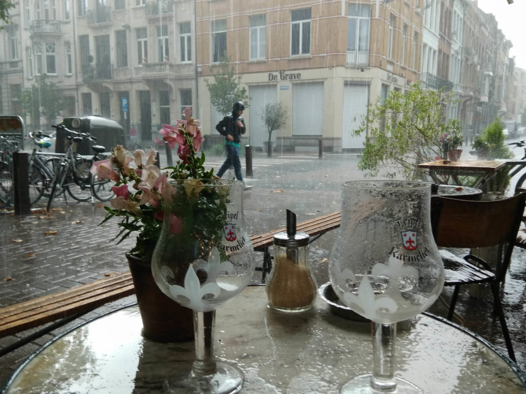 Starker Regen im Garten von Kamiel in Antwerpen