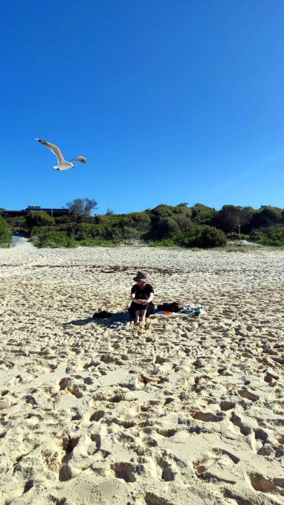 Möwe und Nicole Schwarzbier am Elizabeth Beach