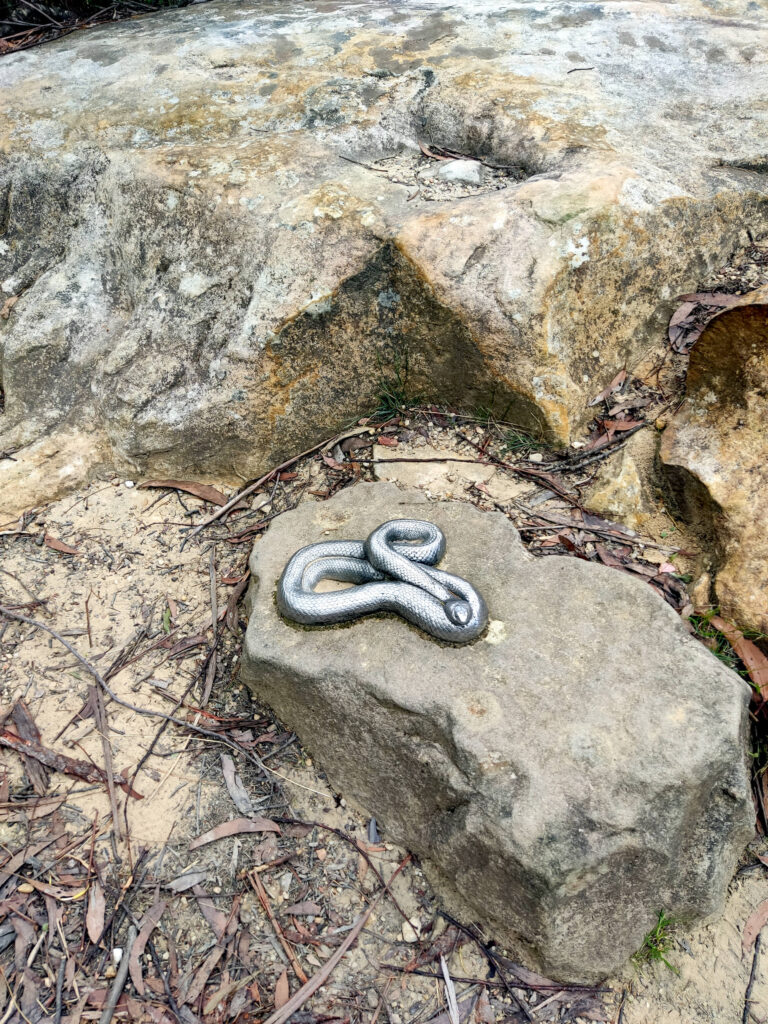 Schlange, Blue Mountains, Australien