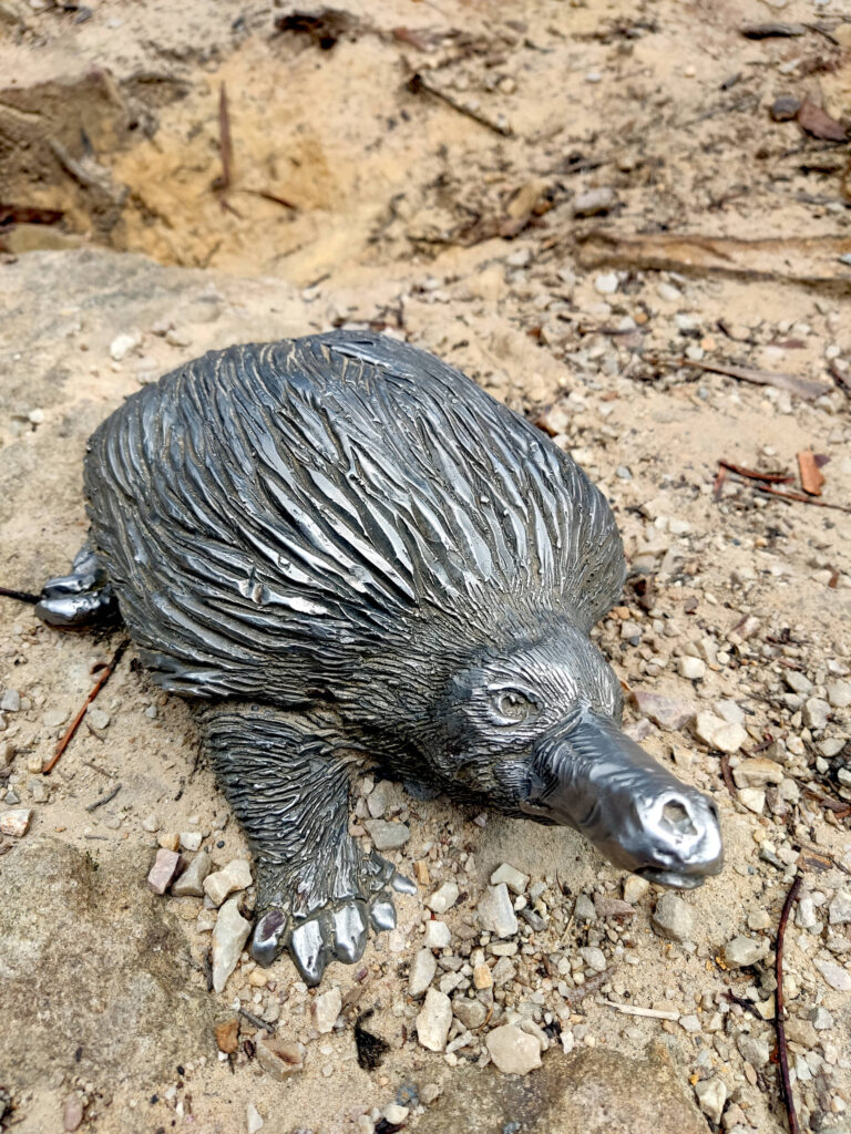 Schnabeltier, Blue Mountains, Australien