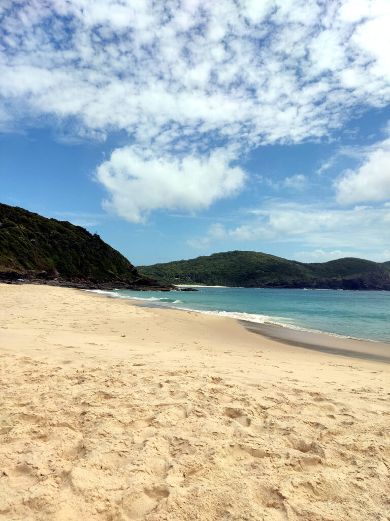 Shelly Beach, NSW Australien