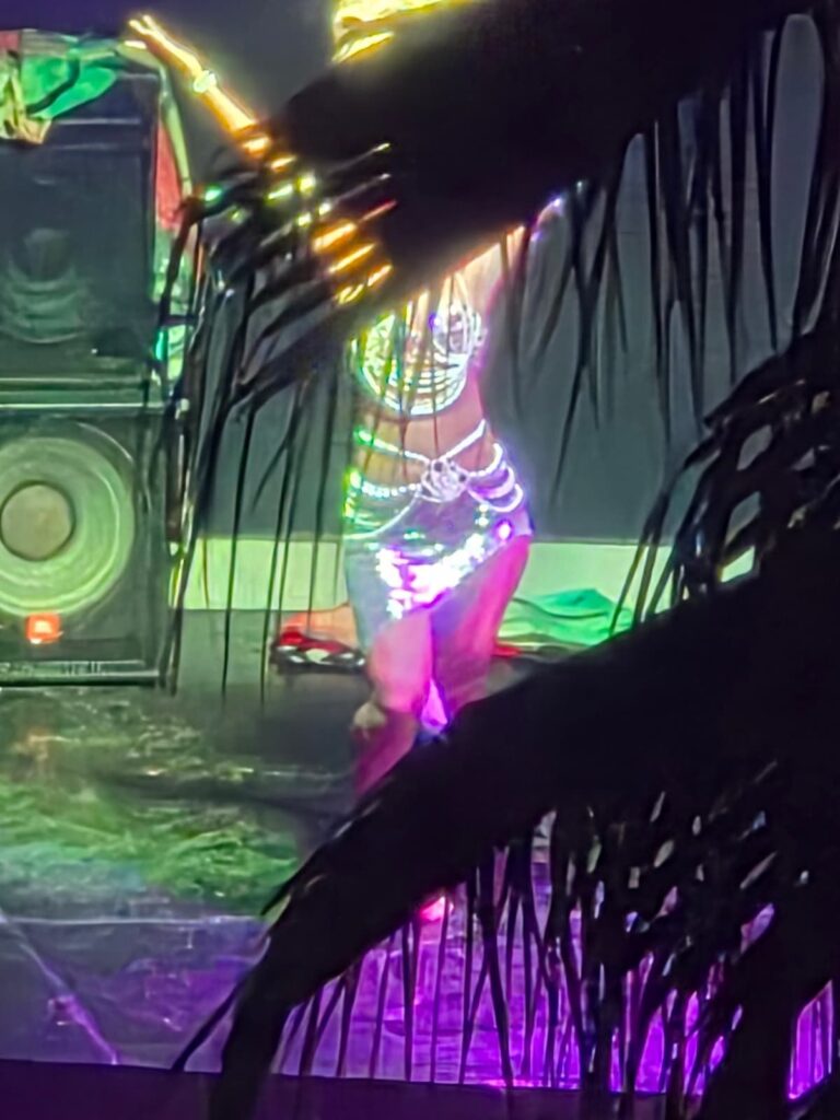 Abendtanzshow im Süral Garden.