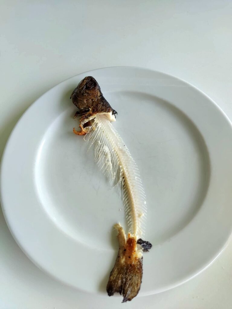 Fisch zu Mittag im Süral Garden Hotel.