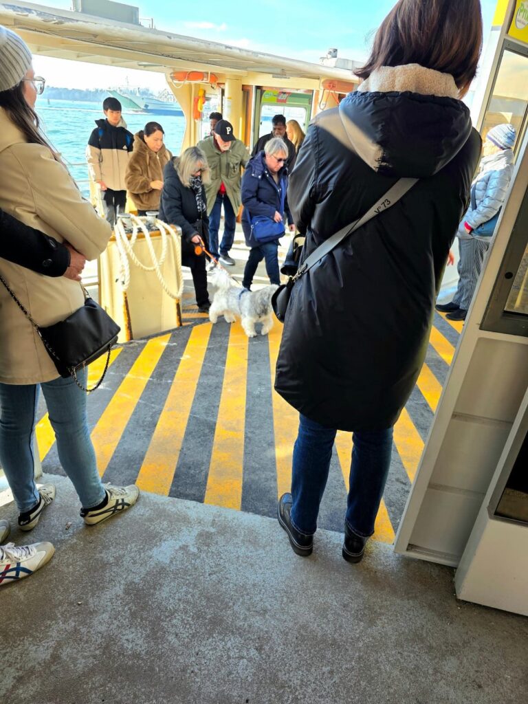 Hund und Menschen steigen vom Vaporetto aus
