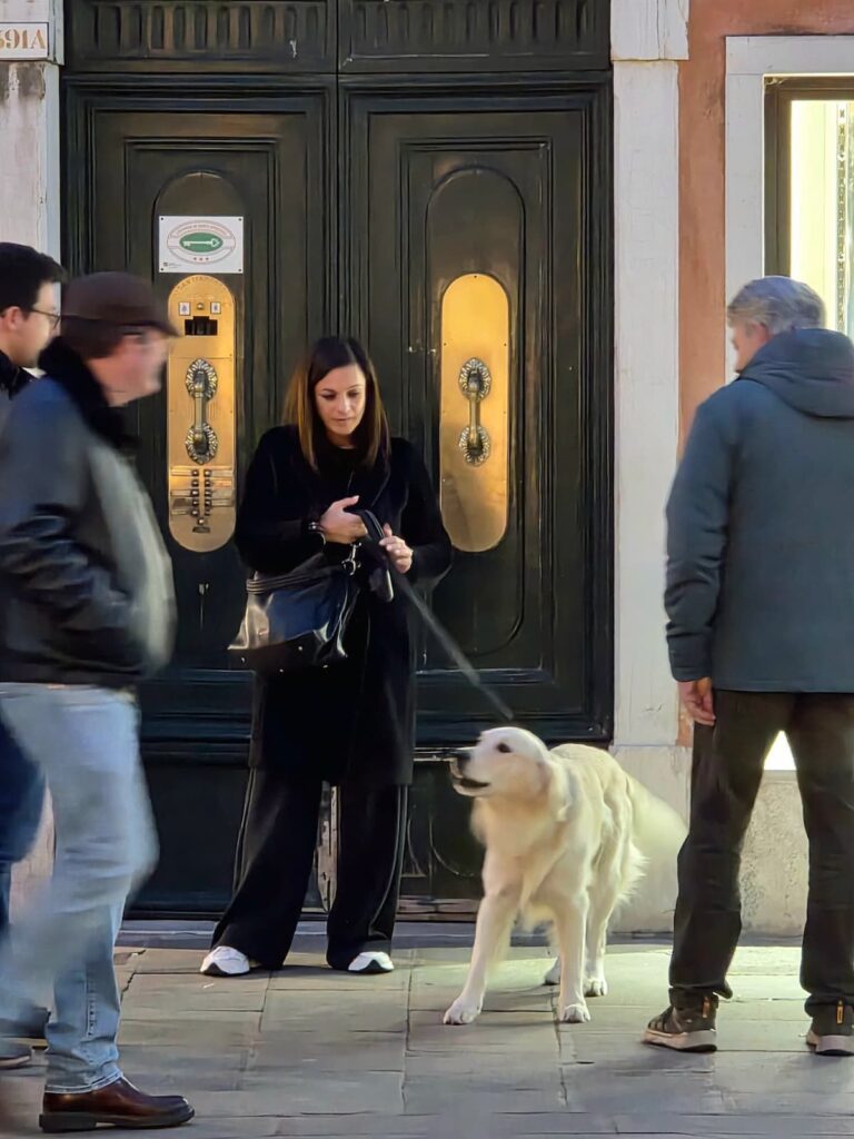 Großer weißer Hund vor einer Tür an der Leine in Venedig