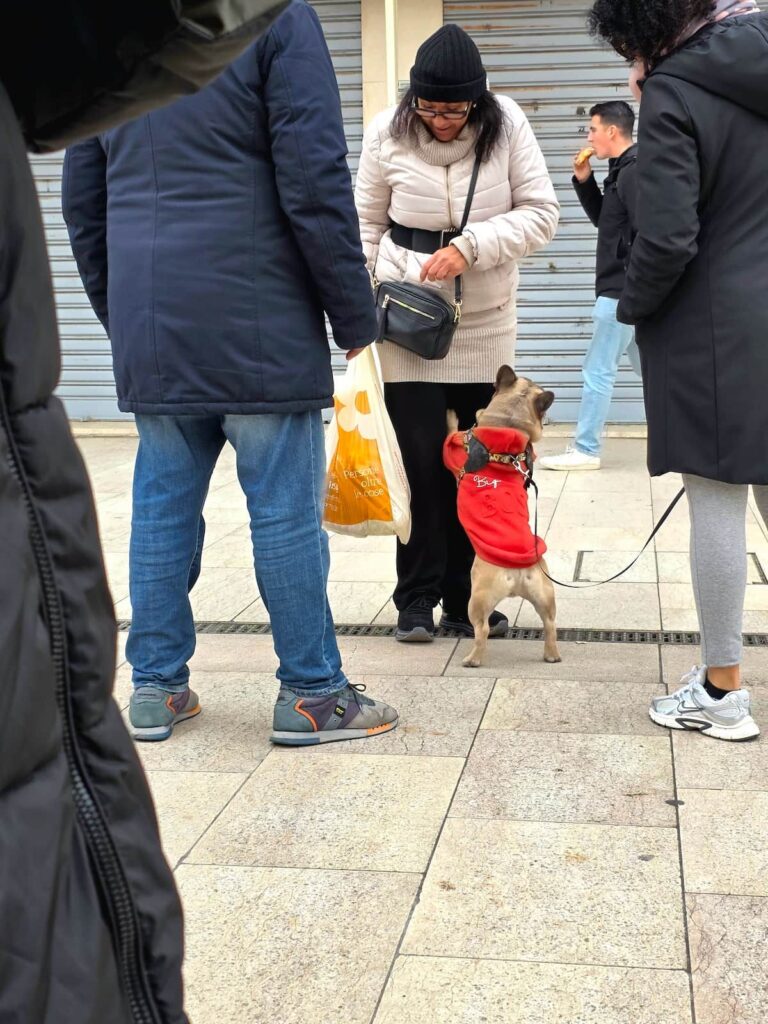 Hund auf zwei Beinen am Lido in Venedig