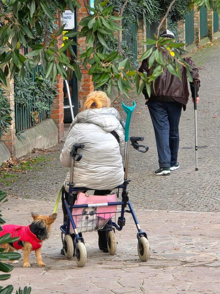 Hund und alte Menschen in Venedig