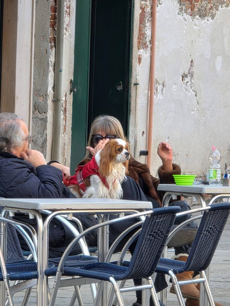 Ein Hund sitzt auf dem Schoß eines Mannes in einem Café draußen in Venedig