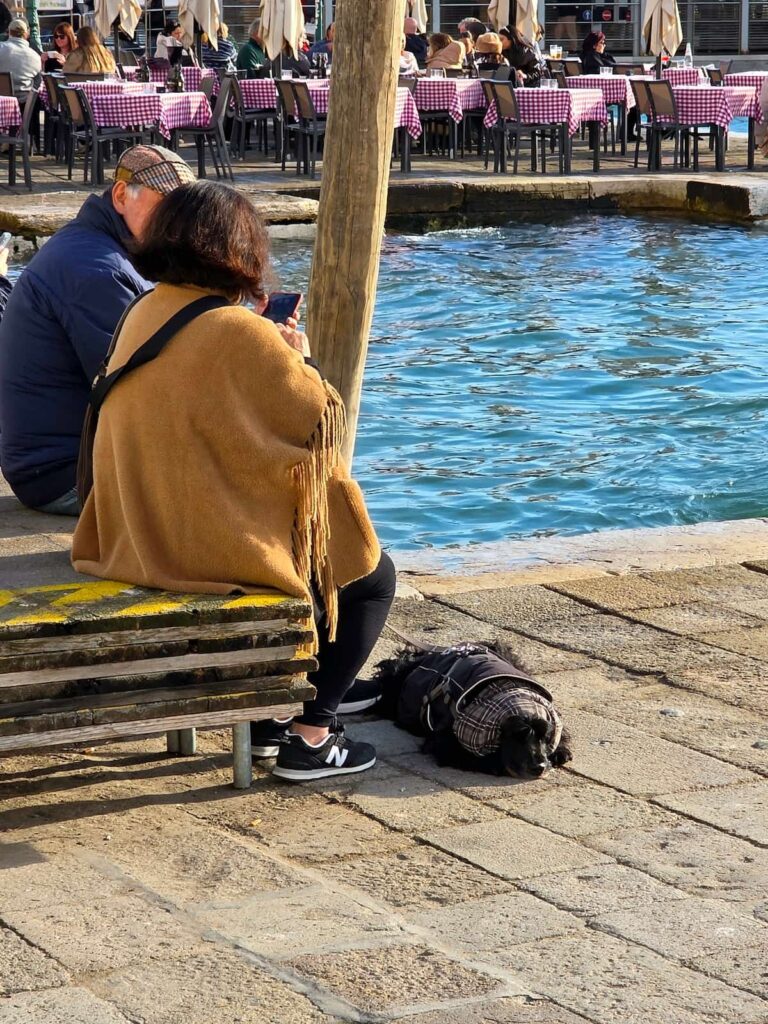 Müder Hund liegt am Steinboden beim Canale Grande