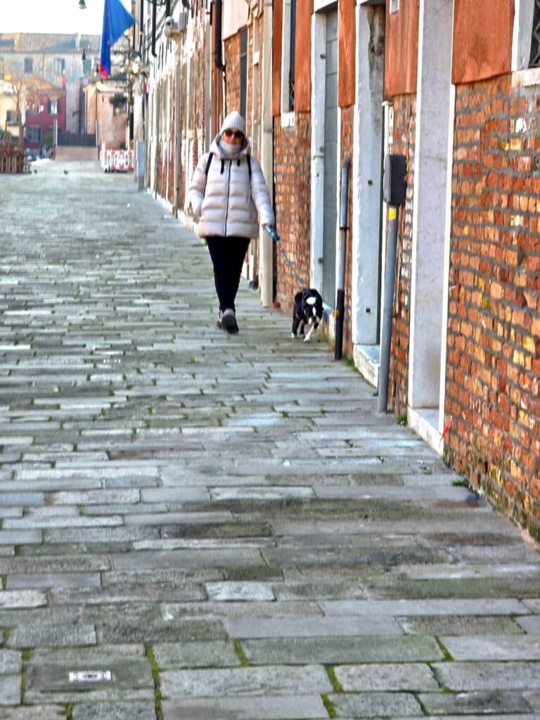 Ein Hund geht Gassi in Giudecca