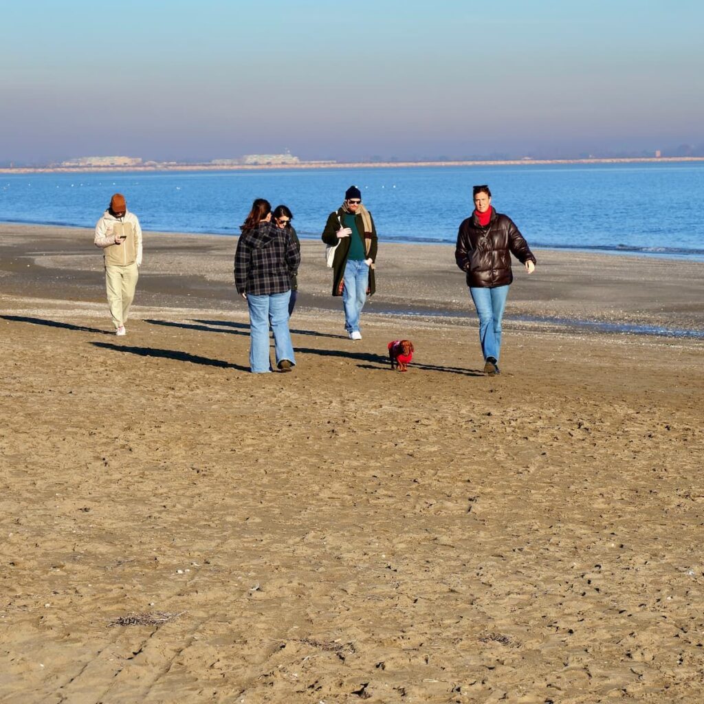 Strandspaziergang mit einem Dackel am Strand vom Lido
