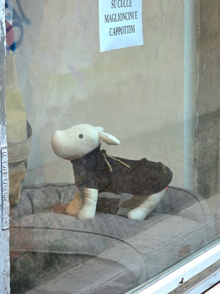 Geschäft für Hunde in Venedig