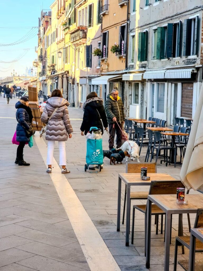 Hundetreffen in der Region Arsenale in Venedig