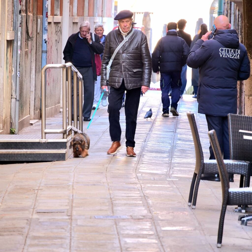 Rauhaardackel geht Gassi in einer Gasse in Venedig.