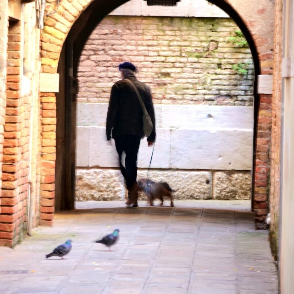 Rauhaardackel geht Gassi in einer Gasse in Venedig. Leicht verschwommenes Bild.