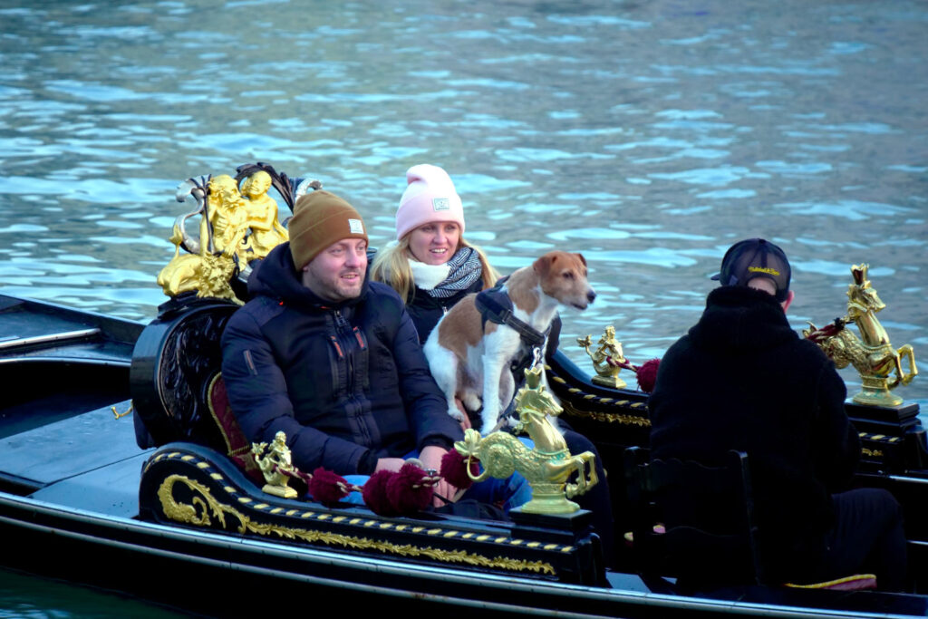 Terrier auf einer Gondel in Venedig