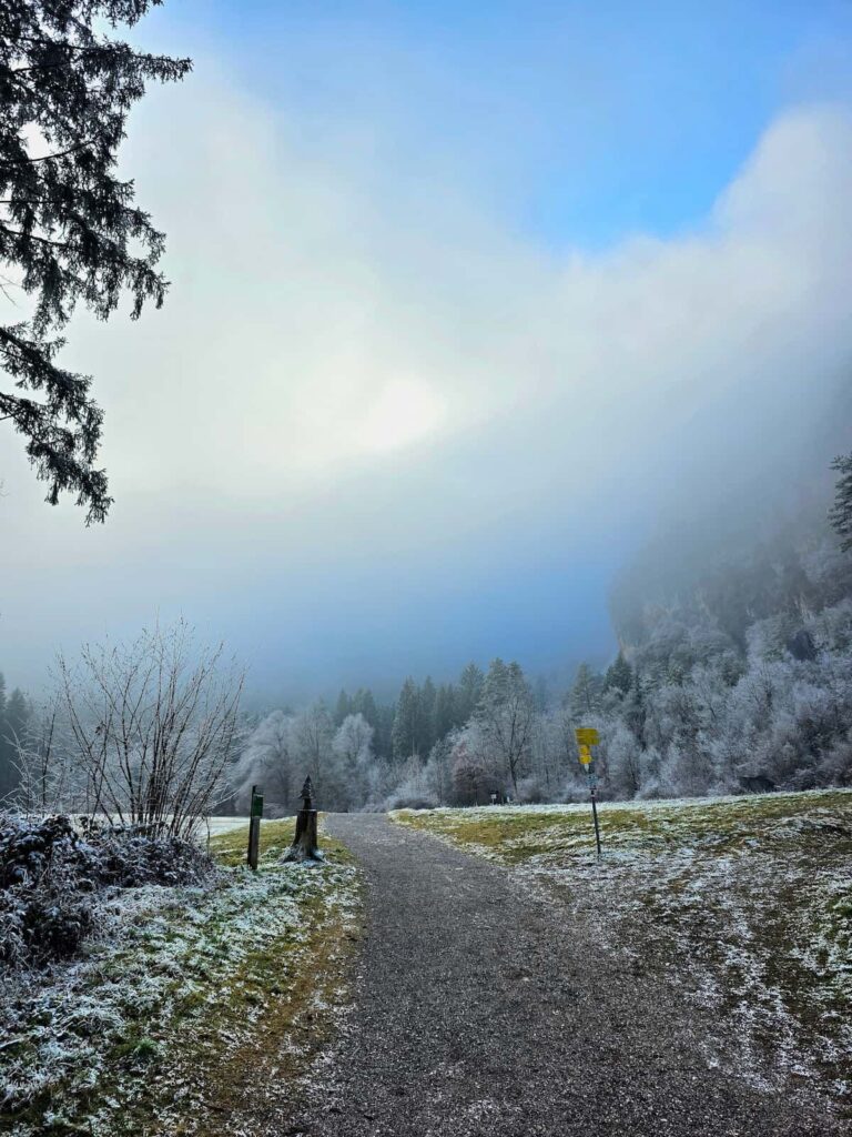 Schützen Wiese in Warmbad Villach bei Nebel