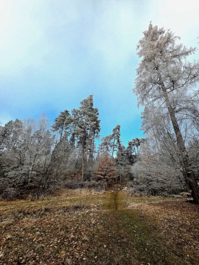 Hügelgräber Napoleonwiese in Warmbad Villach
