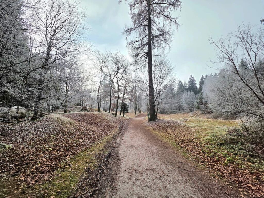 Hügelgräber Napoleonwiese in Warmbad Villach